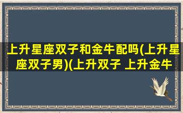 上升星座双子和金牛配吗(上升星座双子男)(上升双子 上升金牛)